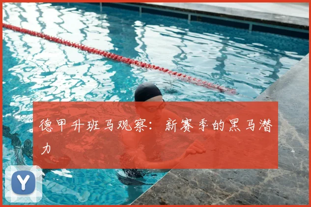 德甲升班马观察：新赛季的黑马潜力